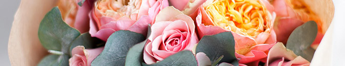 купить цветы Египет от Grand-flora